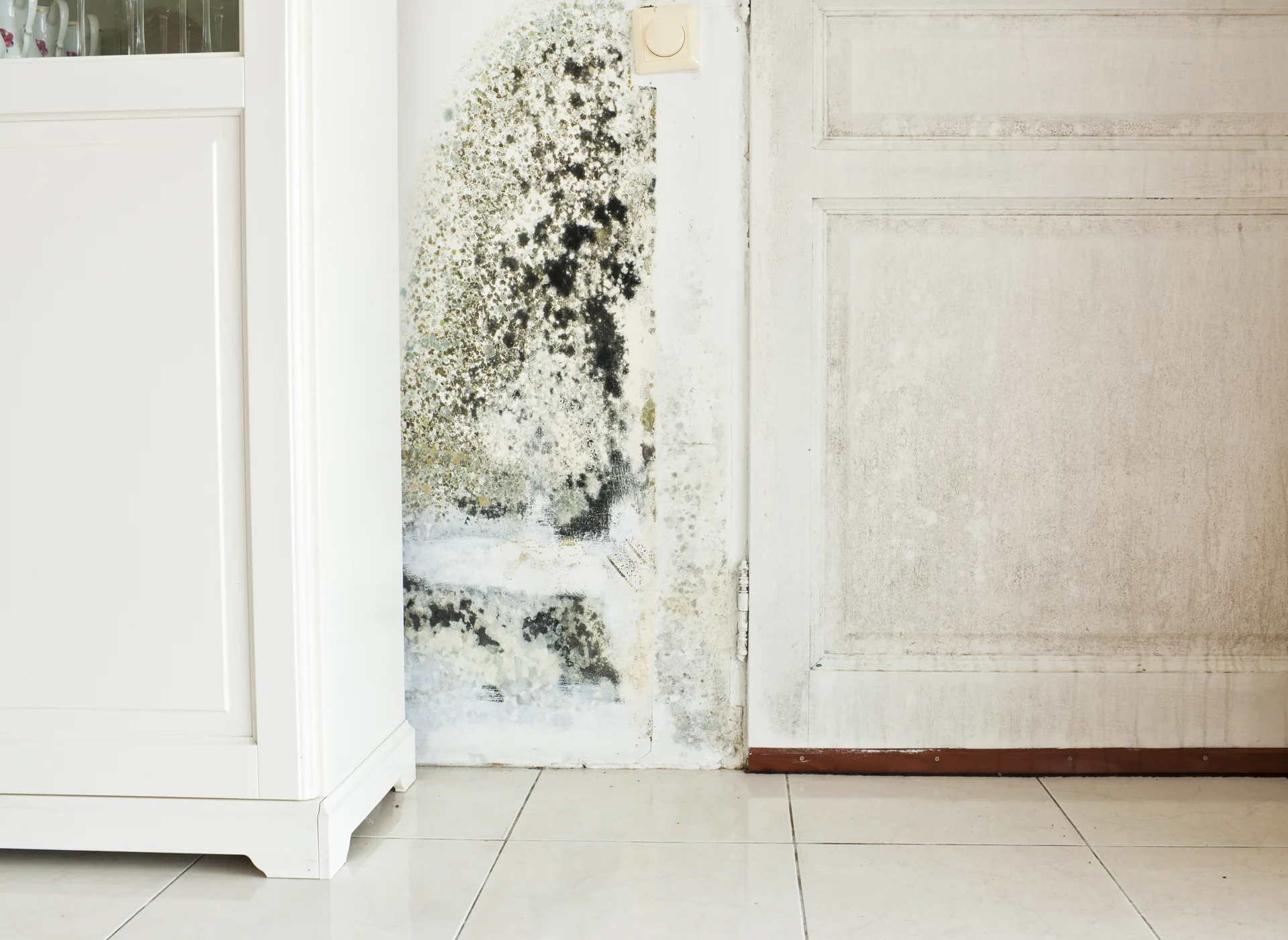 Black mould growing on a wall beside a white door